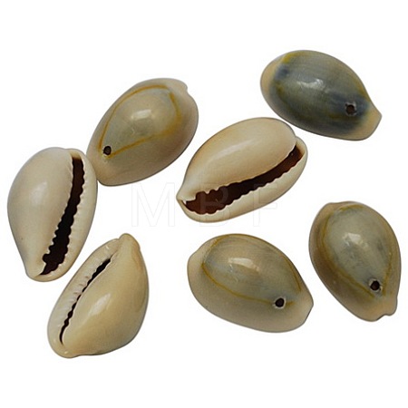 Natural Cowrie Shell Pendants BSHE-S050-1