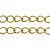Iron Side Twisted Chains CH-S088-G-LF-1