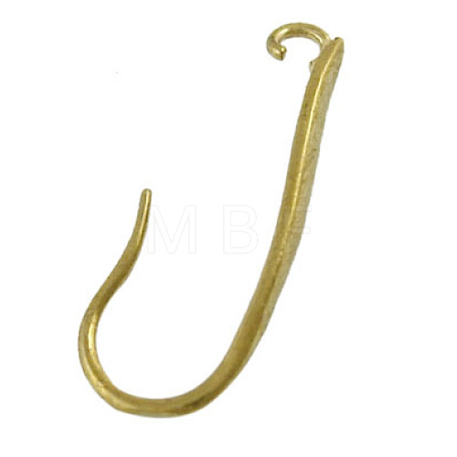 Brass Earring Hooks EC3005Y-1