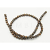 Natural Bronzite Beads Strands G-Q605-24-2