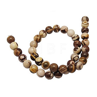 Natural Australia Zebra Stone Beads Strands G-H1256-1-1