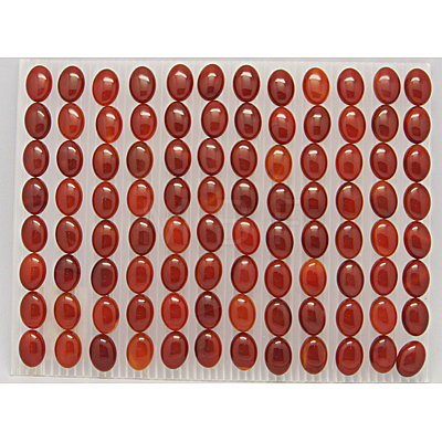 Natural Red Agate Cabochons G-N209-35-1