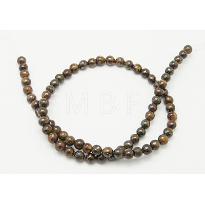 Natural Bronzite Beads Strands G-Q605-24-1