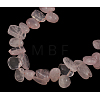 Natural Rose Quartz Beads Strands G505-034-2