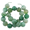 Natural Green Banded Agate Beads Strand G875-14MM-2