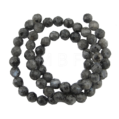 Natural Larvikite Beads Strands G865-102-1