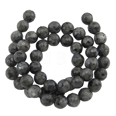 Natural Larvikite Beads Strands G866-102-1