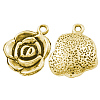 Tibetan Style Alloy Pendants GLF9872Y-1