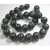 Natural Larvikite Beads Strands GSR14mmC128-2