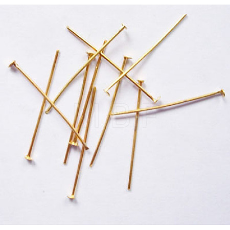 Iron Flat Head Pins HPG2.2cm-1
