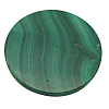 Natural Malachite Cabochons MALA-20D-6-2