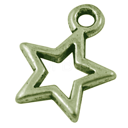 Tibetan Style Alloy Charms MLF10686Y-NF-1