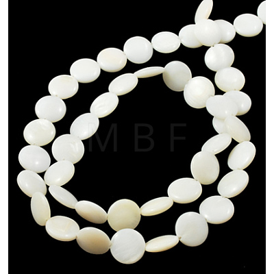 Natural Shell Beads Strands PBB-XXBK024Y-13-1