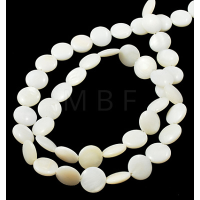 Natural Shell Beads Strands PBB-XXBK027Y-13-1