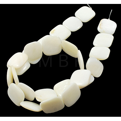 Natural Shell Beads Strands PBB-XXBK034Y-13-1