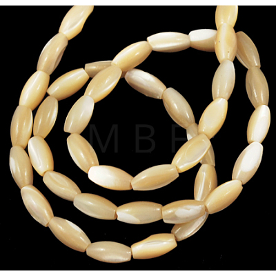 Natural Shell Beads Strands PBB409Y-2-1