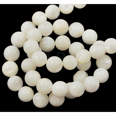 Natural White Shell Beads Strands PBB448Y-1-1