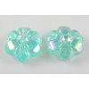 Transparent Acrylic Beads PL538-25-1