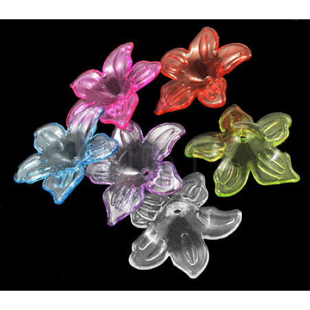 Transparent Acrylic Beads PL674Y-1