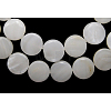 Natural Freshwater Shell Beads S00C20A6-1