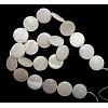 Natural Freshwater Shell Beads S00C20A6-2