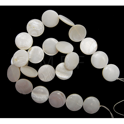 Natural Freshwater Shell Beads S00C20A6-1
