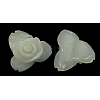 Natural White Shell Beads SHS178-8-1