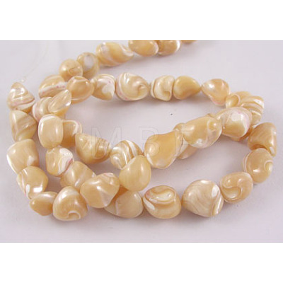 Erose Natural Shell Beads Strands SH012-1