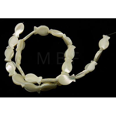 Natural White Shell Beads Strands SSHEL-18X10-1