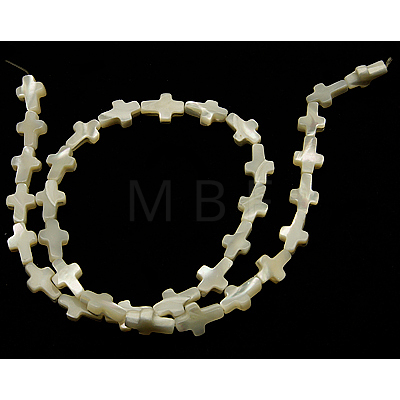 Natural White Shell Beads Strands SSHEL-F0812C-1