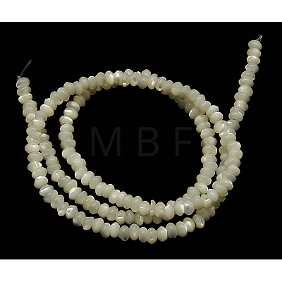 Natural White Shell Beads Strands SSHEL-L034-1-1
