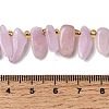 Natural Kunzite Beads Strands G-P604-A26-01-5
