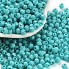Baking Paint Glass Seed Beads X1-SEED-A032-02H-1
