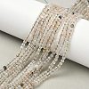 Natural Agate Beads Strands G-H302-A04-01-5