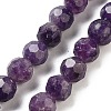 Natural Lepodolite Beads Strands G-C150-B03-01-2