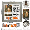 MDF Pet Photo Frames DIY-WH0525-001-2