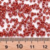 Glass Bugle Beads SEED-S032-08A-25-4