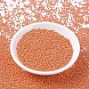 MIYUKI Round Rocailles Beads SEED-G007-RR0424-2