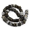 Natural Labradorite Beads Strands G-T141-09-3