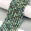 Natural African Turquoise(Jasper) Beads Strands G-A02-03-2