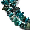 Natural HuBei Turquoise Bead Strands G-H345-A01-08-4
