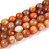 Dyed & Heated Natural Fire Crackle Agate Beads Strands G-N359-01A-06-2