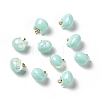 Sparkle Opaque Resin Charms RESI-E019-01G-01-1