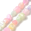 Rainbow Color Dyed Natural Freshwater Shell Beads Strands SHEL-G018-02E-1