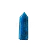 Point Tower Natural Apatite Home Display Decoration PW-WG91959-03-5