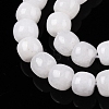 Dyed Natural White Jade Beads Strands G-T138-S01-3