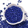 Baking Paint Glass Seed Beads SEED-L011-12A-11-2