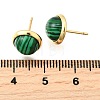 Brass Half Round Stud Earrings EJEW-Z124-02G-5