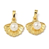 Brass & Shell Pearl Charms KK-I714-02G-1