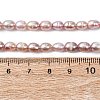 Natural Cultured Freshwater Pearl Beads Strands PEAR-F020-01A-5